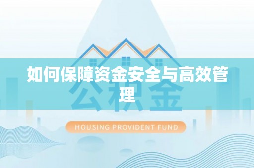 海伦如何保障资金安全与高效管理