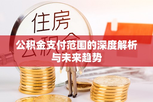 海伦公积金支付范围的深度解析与未来趋势