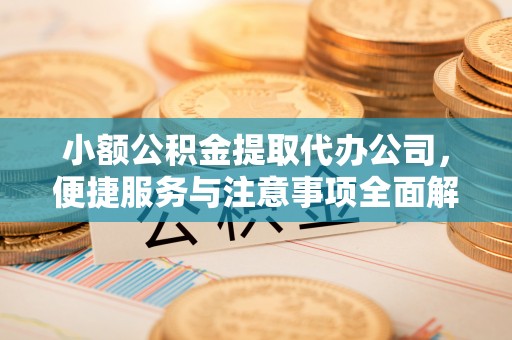海伦小额公积金提取代办公司，便捷服务与注意事项全面解析