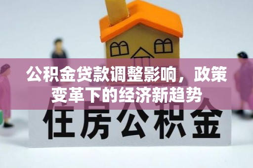 海伦公积金贷款调整影响，政策变革下的经济新趋势
