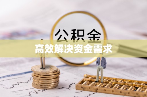 海伦高效解决资金需求