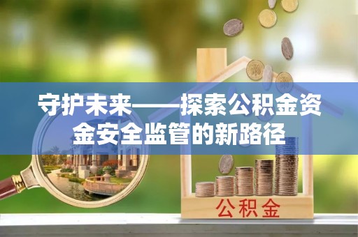 海伦守护未来——探索公积金资金安全监管的新路径