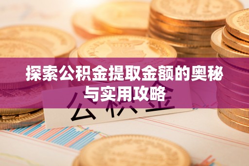 海伦探索公积金提取金额的奥秘与实用攻略