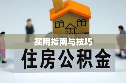 海伦实用指南与技巧