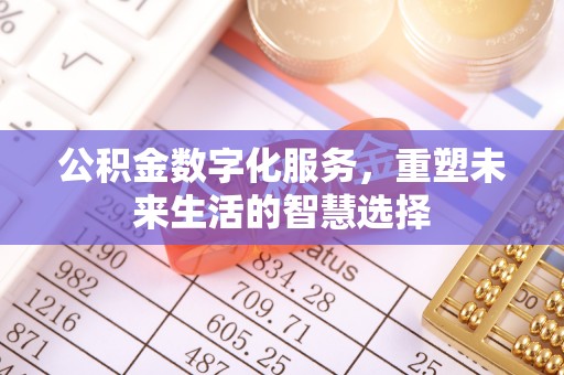 海伦公积金数字化服务，重塑未来生活的智慧选择
