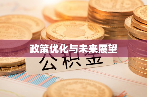 海伦政策优化与未来展望
