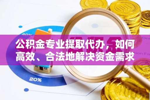海伦公积金专业提取代办，如何高效、合法地解决资金需求？