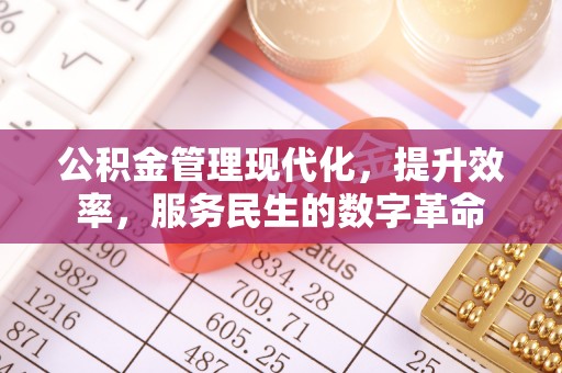 海伦公积金管理现代化，提升效率，服务民生的数字革命
