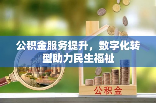 海伦公积金服务提升，数字化转型助力民生福祉