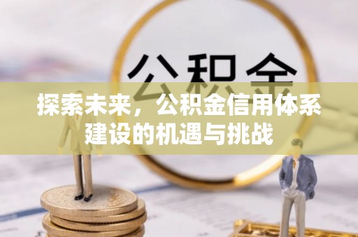 海伦探索未来，公积金信用体系建设的机遇与挑战