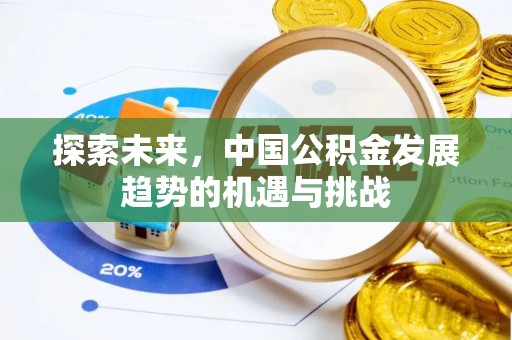海伦探索未来，中国公积金发展趋势的机遇与挑战