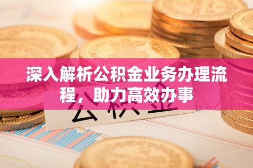 海伦深入解析公积金业务办理流程，助力高效办事