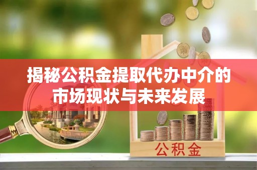 海伦揭秘公积金提取代办中介的市场现状与未来发展