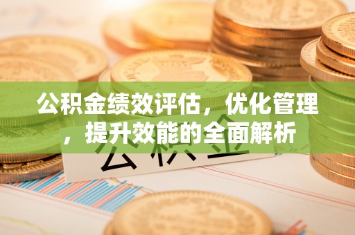 海伦公积金绩效评估，优化管理，提升效能的全面解析