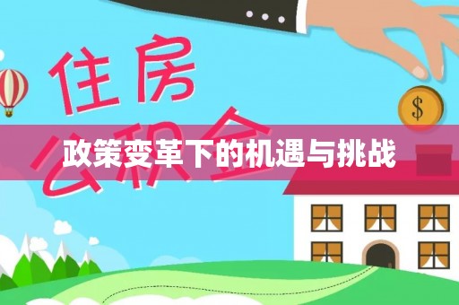 海伦政策变革下的机遇与挑战