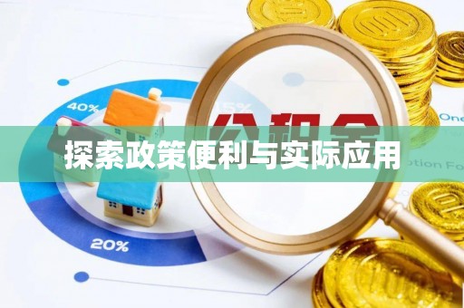 海伦探索政策便利与实际应用
