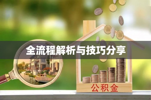 海伦全流程解析与技巧分享