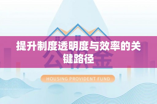 海伦提升制度透明度与效率的关键路径