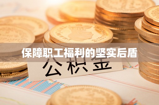 海伦保障职工福利的坚实后盾