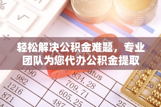 海伦轻松解决公积金难题，专业团队为您代办公积金提取