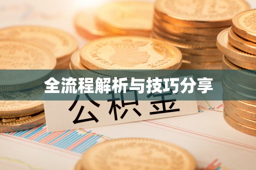 海伦全流程解析与技巧分享